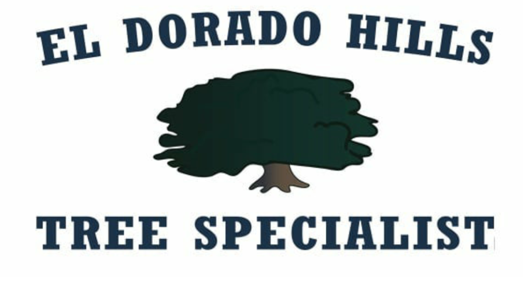 El Dorado Hills Tree Specialist logo